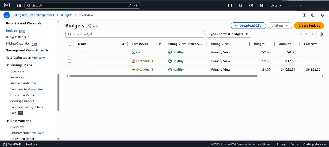 AWS Budgets 2025 dashboard with cost filters