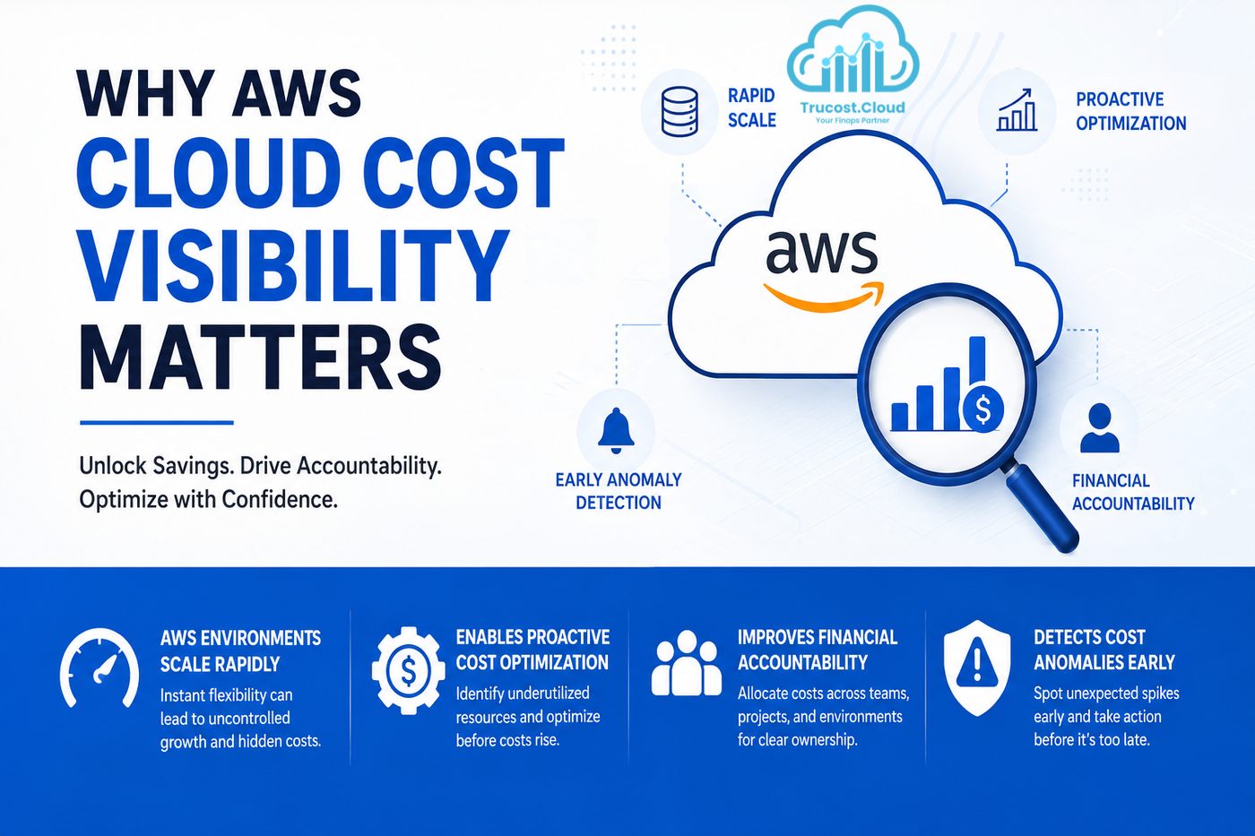 Why AWS Cloud Cost Visibility Matters