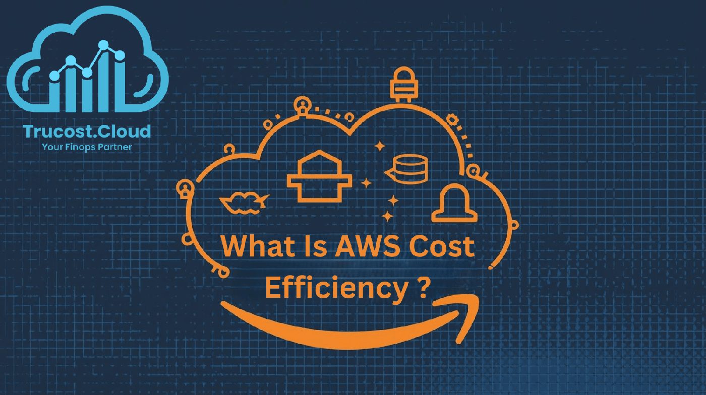 What Is AWS Cost Efficiency ?