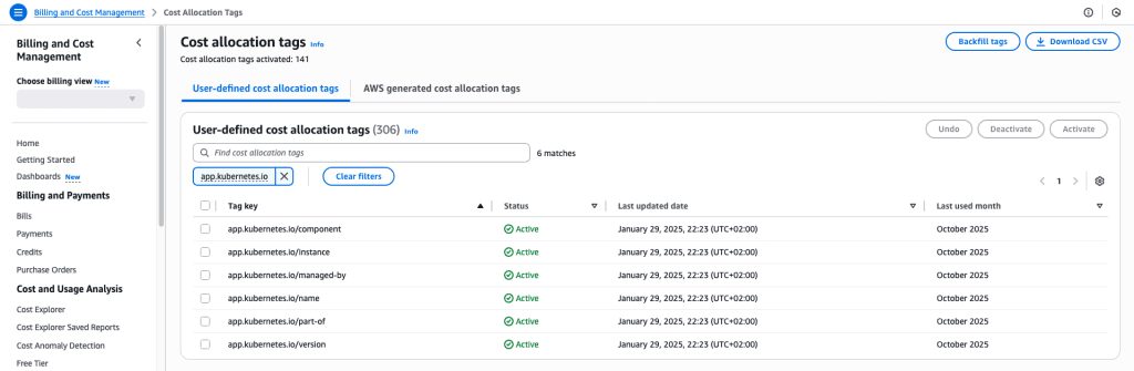 Activate Cost Allocation Tags