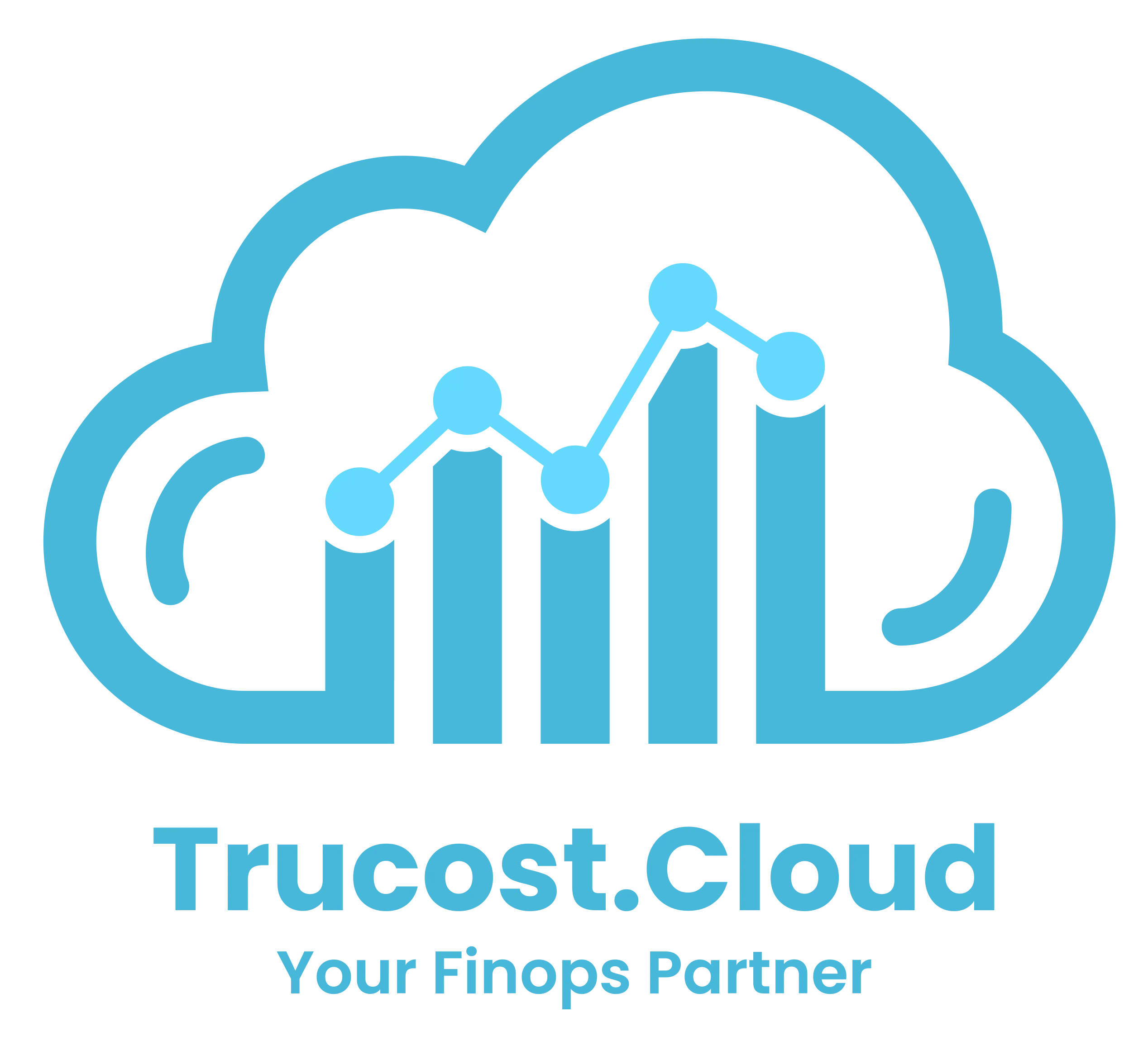 At trucost.cloud, we offer FinOps consulting services that provide recommendations and assist in implementation to improve efficiency, reduce costs, and support sustainable growth.