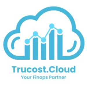 At trucost.cloud, we offer FinOps consulting services that provide recommendations and assist in implementation to improve efficiency, reduce costs, and support sustainable growth.
