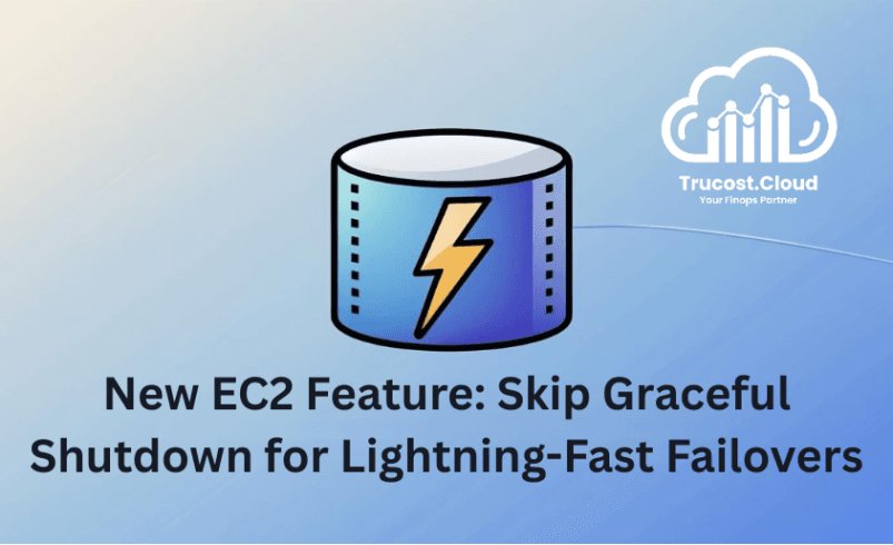 New EC2 Feature: Skip OS shutdown for Lightning-Fast Failovers