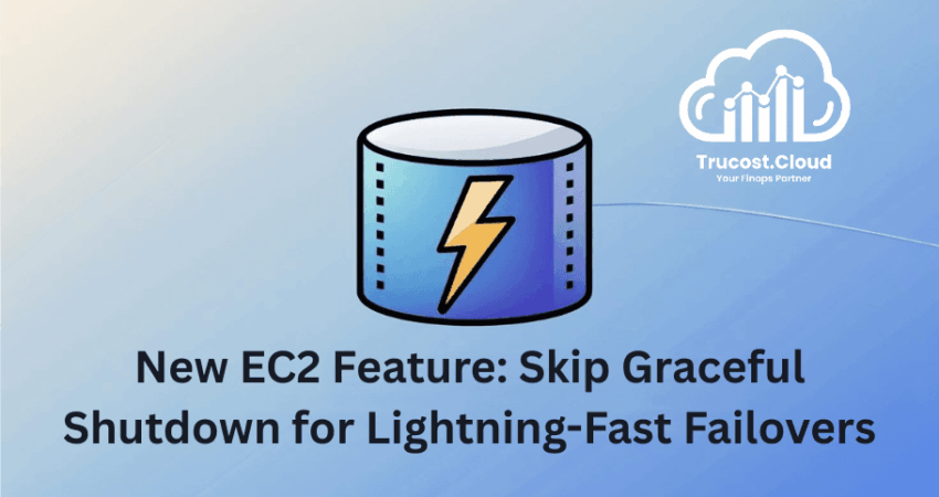 EC2 skip OS shutdown feature boosts failover speed and reduces downtime during instance stop or termination.