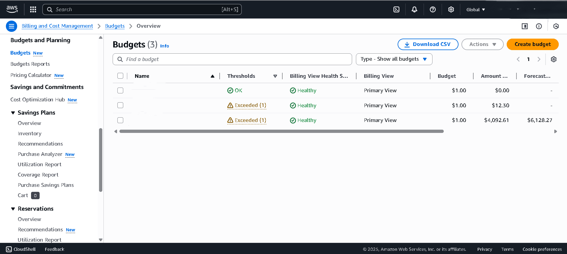 AWS Budgets 2025 dashboard with cost filters