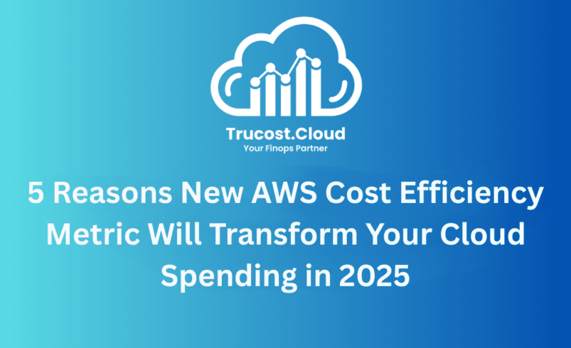 5 Reasons New AWS Cost Efficiency Metric Will Transform Your Cloud Spending in 2025