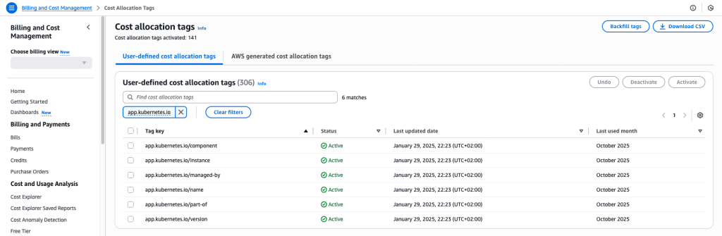 Activate Cost Allocation Tags