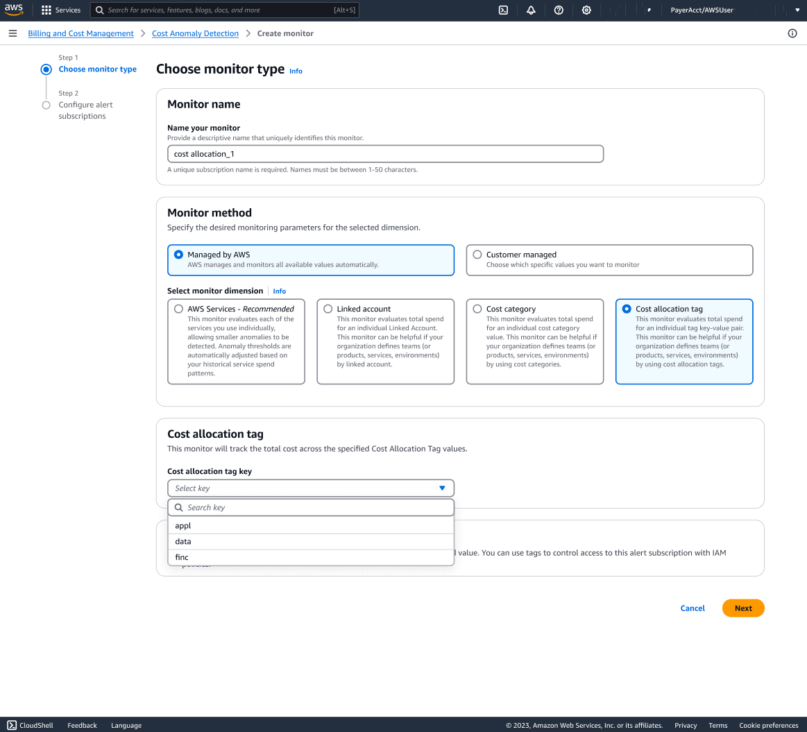 Step 2 – Select Your Monitoring Dimension Choose based on your cost ownership strategy: 